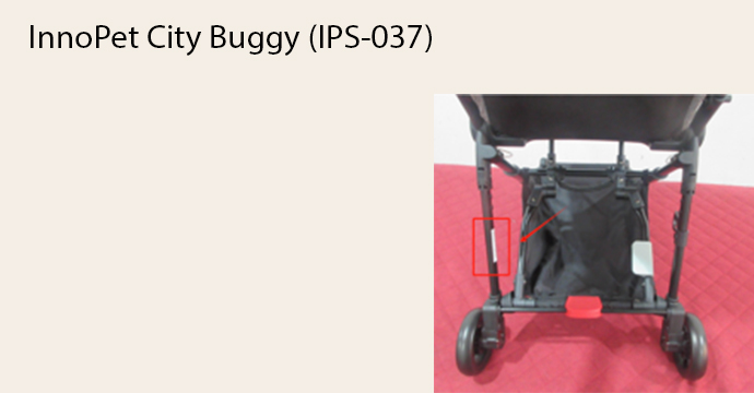 City Buggy.jpg